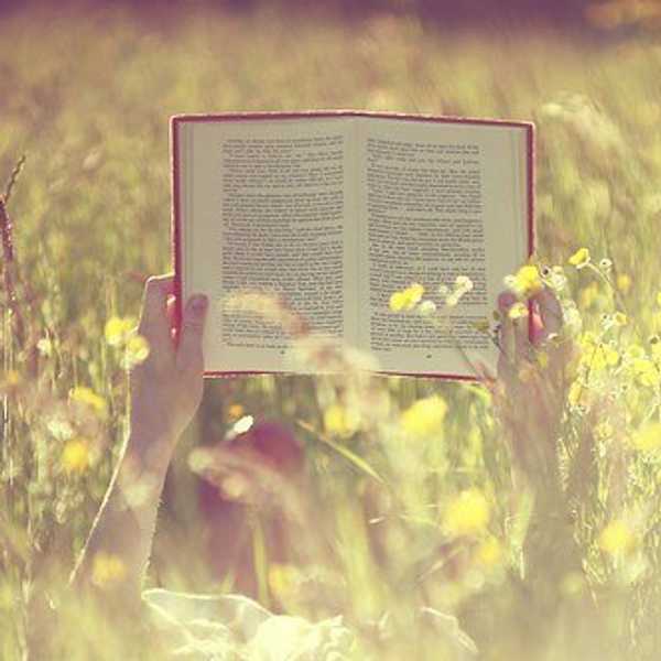 9 Surprising Books To Read This Summer