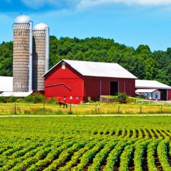 When You Put A College Girl On A Farm