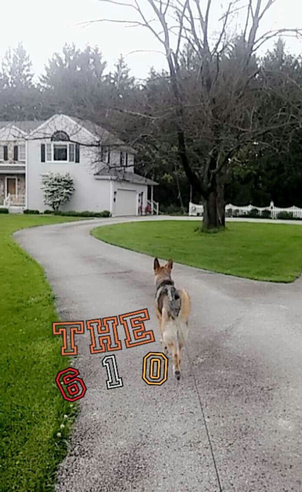 Finding My Place At Home