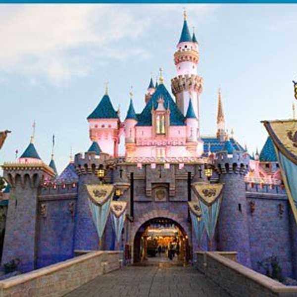 Celebrating Disney World