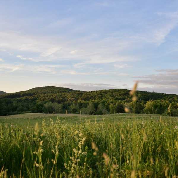 25 Things To Do In The Berkshires This Summer