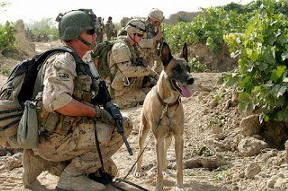 5 Things To Think About This Memorial Day