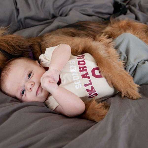 5 Reasons You Should Get A Dog Over Having A Child
