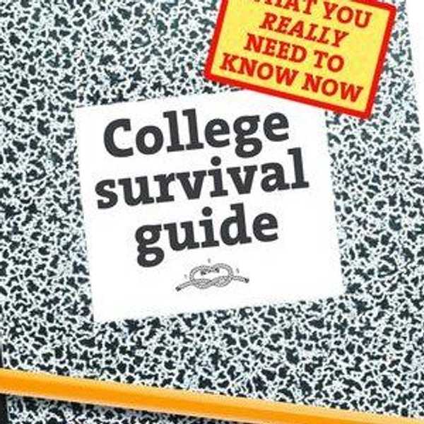 What My Freshmen Year Has Taught Me