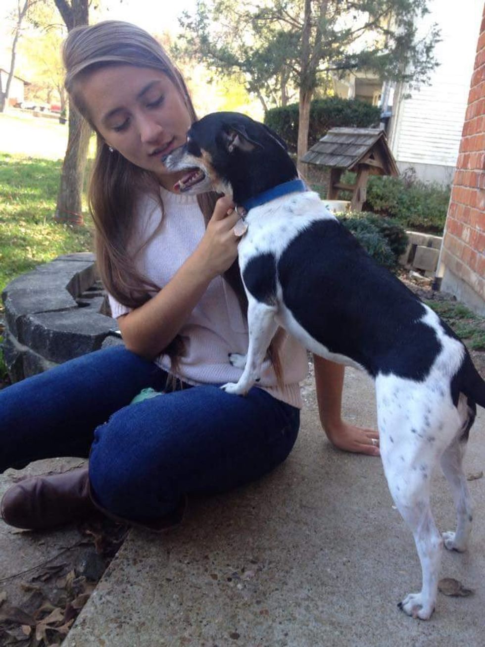 Letter To My Canine Companion