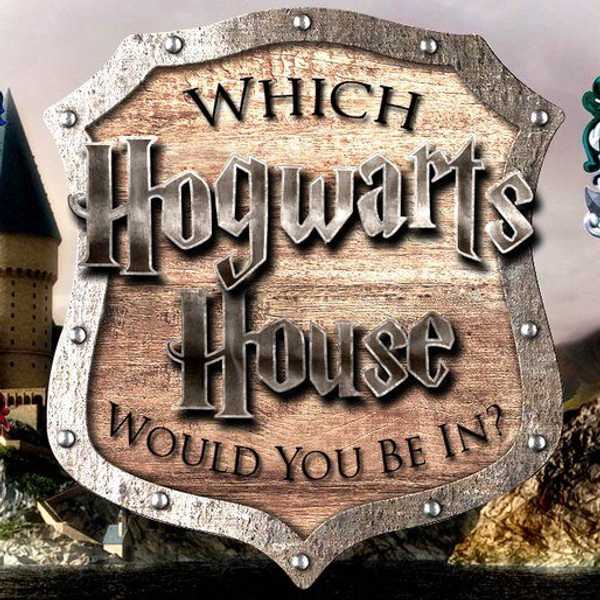 A Generation Defined By Hogwarts Houses