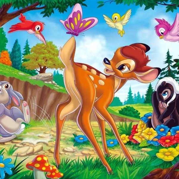 10 Animals That Would Make Terrible Pets