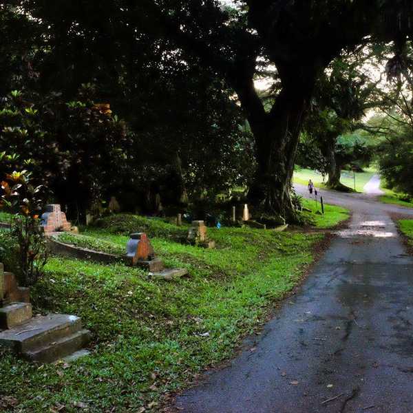What It's Like To Lose Someone To Alzheimer's Disease
