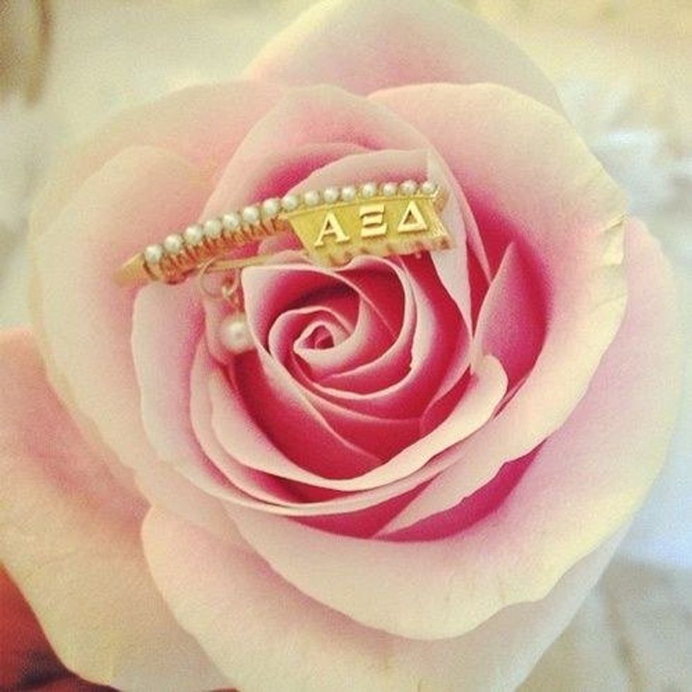 What The Rose Of Alpha Xi Means To Me
