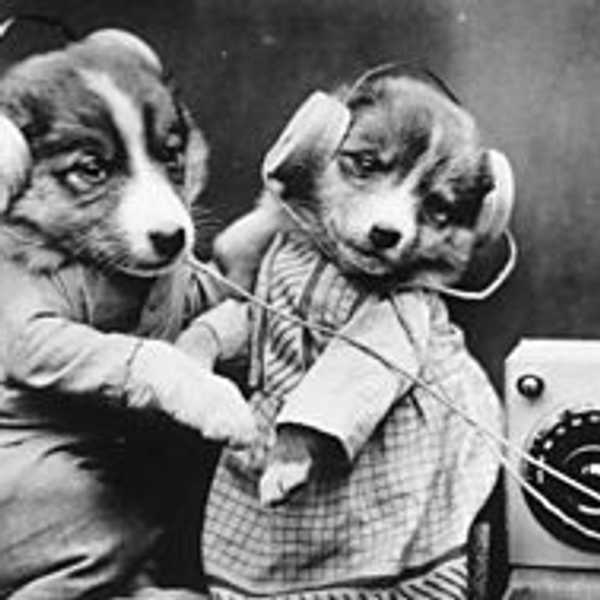 Seven Podcasts to Try