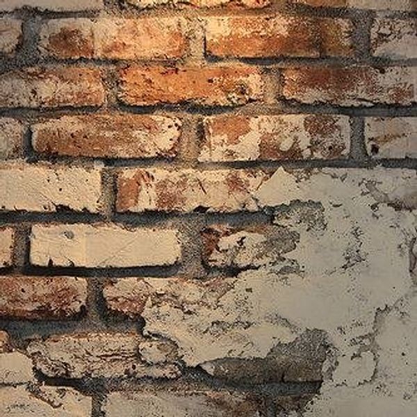 The Real Reason's Cousins Stay Distant