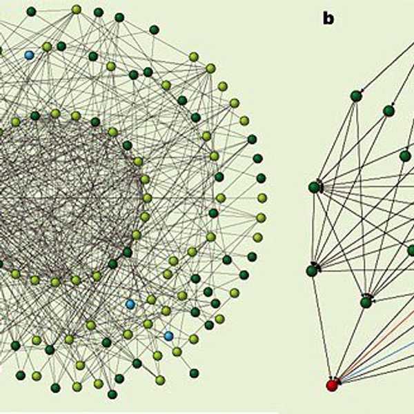 Nature, Communication And Origins