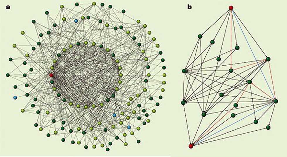 Nature, Communication And Origins