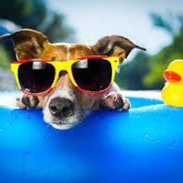 Cool Off This Summer