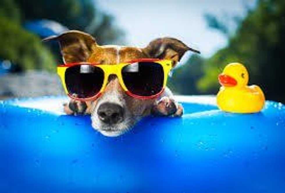 Cool Off This Summer