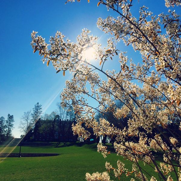 8 Quotes That Will Always Help