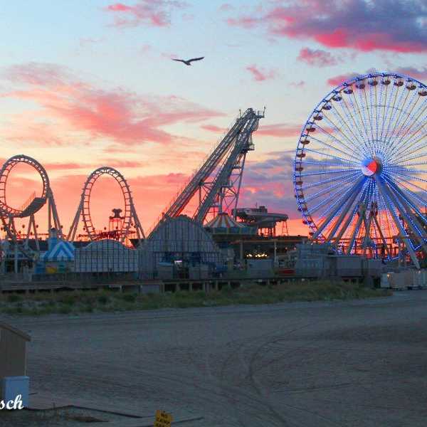 Top 10 Food Places To Try In Wildwood, N.J. This Summer