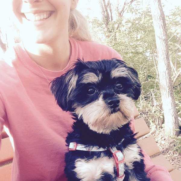 7 Reasons Why Everyone Should Have A Dog