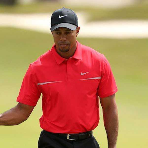 The Return Of El Tigre