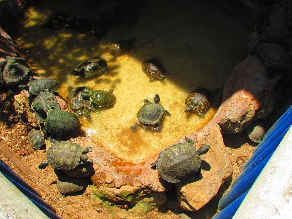 Why It's Important To Take Pictures