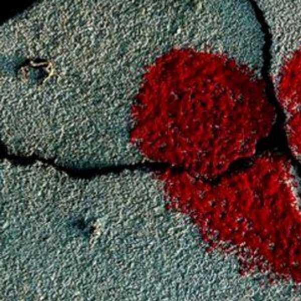 You are a Priority, not an Afterthought