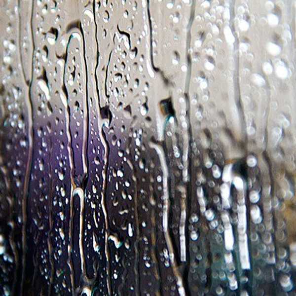 The Beauty Of Rainy Days