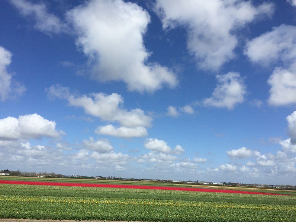 Traveling As An Extrovert