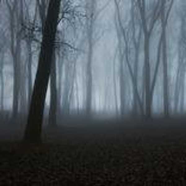 9 Similarities Between High School and College