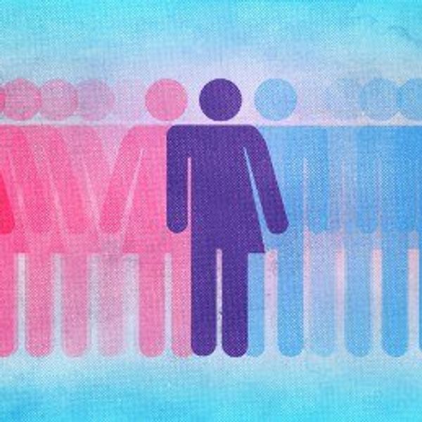 The Transgender Bathroom Invasion