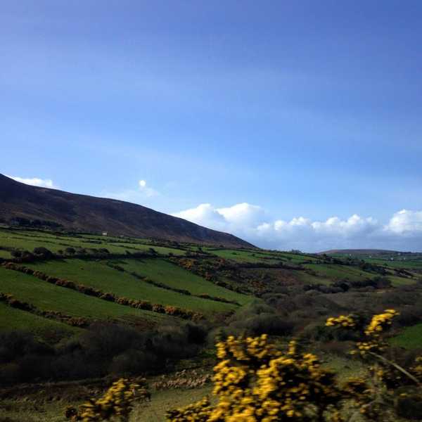 I'm Still Not Over My Study Abroad Experience