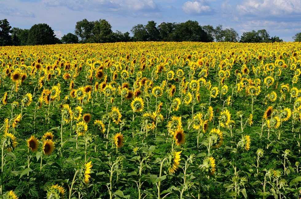The 10 Aspects Of Summer All Upstate New Yorkers Love