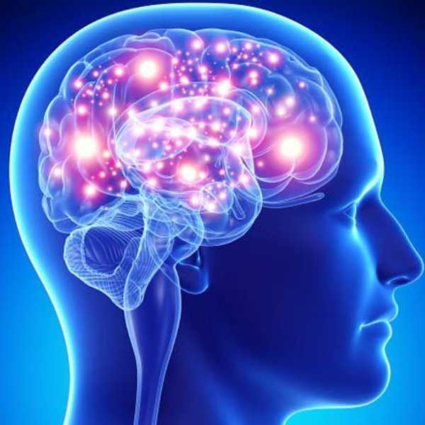10 Surprising Facts About Your Brain