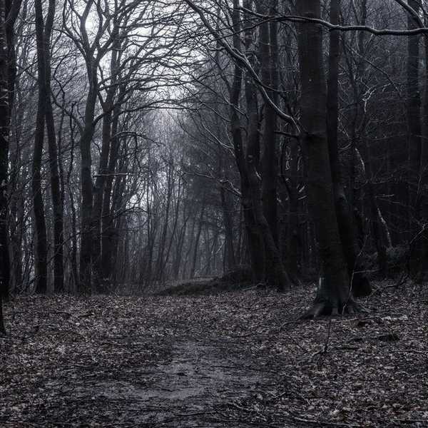 Scared of the Dark