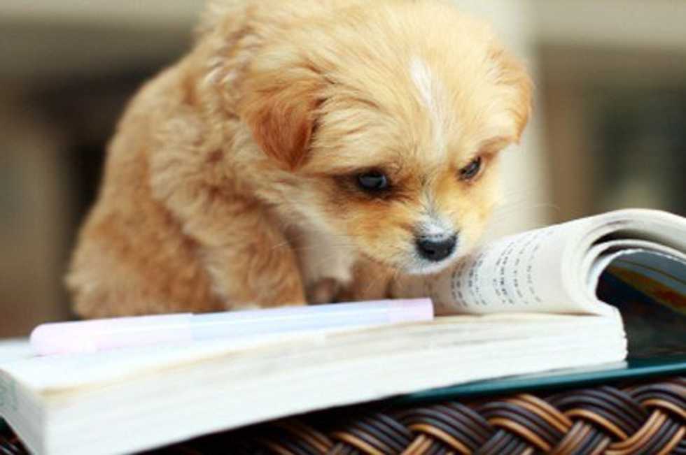 5 Books You Need to Read, If You Are Sick of Netflixing