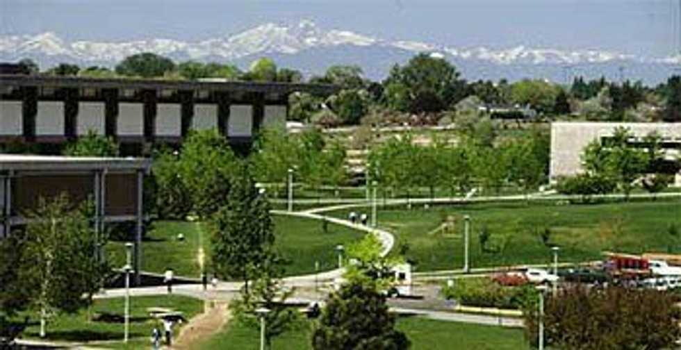 Why I Chose To Stay In-State For College