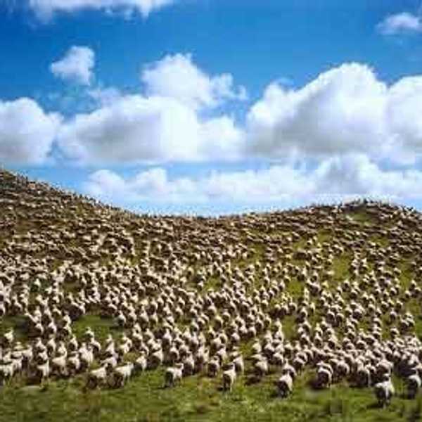 The Other Tragedy Of The Commons