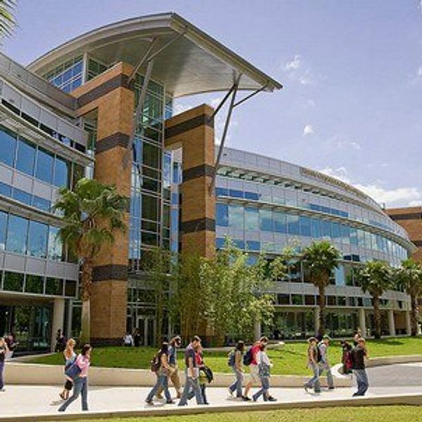 I Am Not My College Major's Generalizations