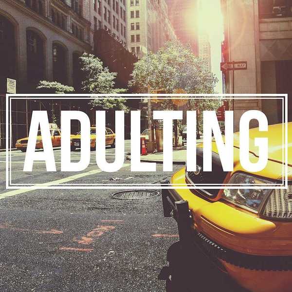 5 Completely Outlandish Things I Need To Adult Properly