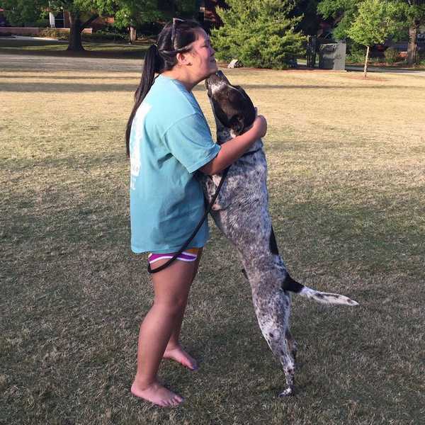 7 Reasons Why You Should Volunteer at an Animal Shelter