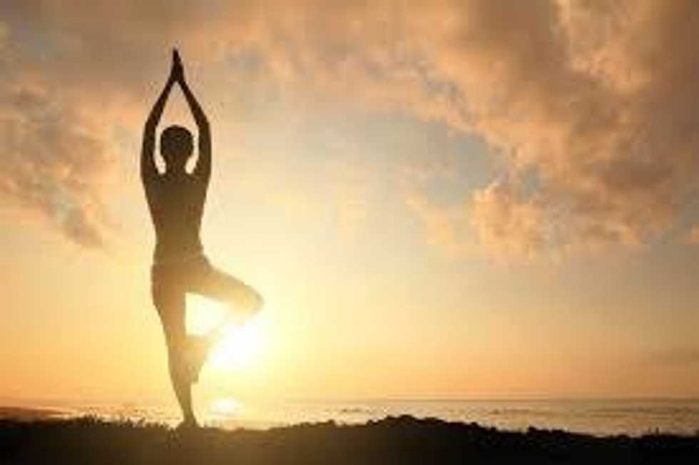 The Yoga Experience