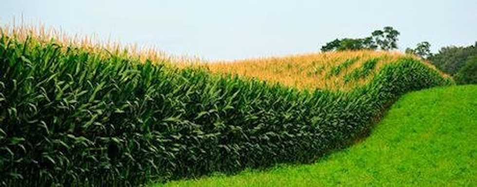 Being From Iowa Isn't As Bad As You Think
