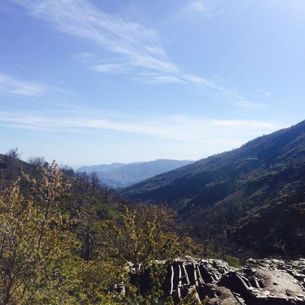 5 Things You Learn By Studying Abroad