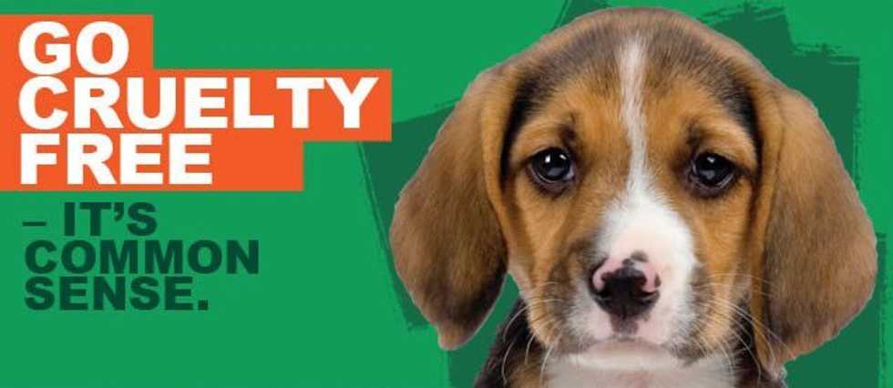 Choose Cruelty-Free, Save Our Non-Human Friends