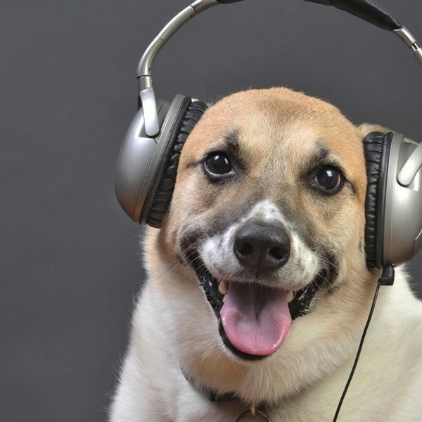 12 Music Artists You Should Start Listening To