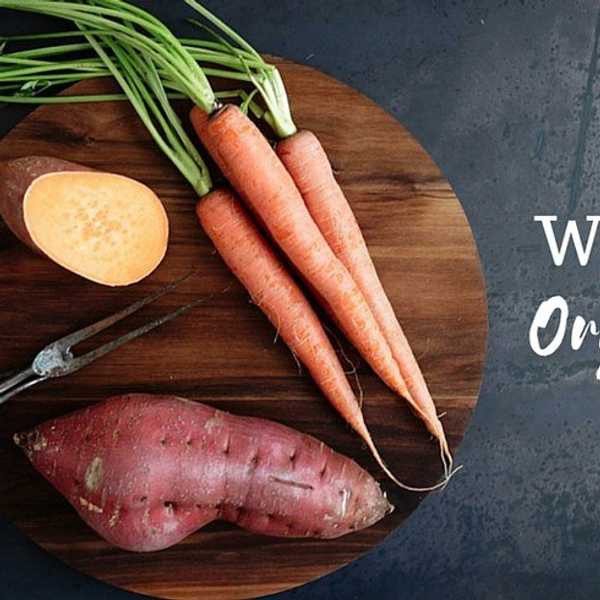 Why I Eat Organically