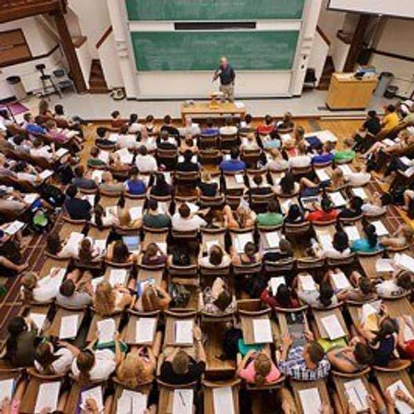 The Politics Of Education