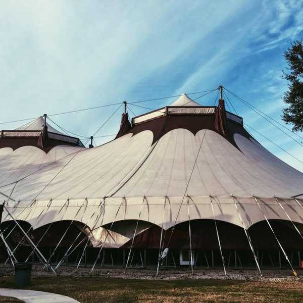 10 Reasons To Join FSU's Flying High Circus