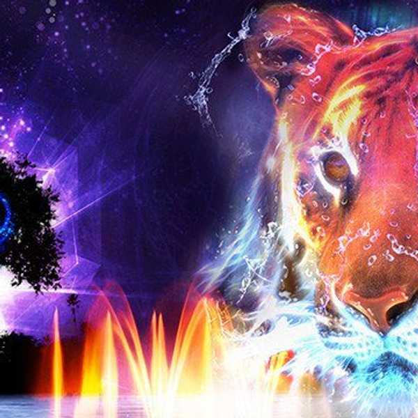 Why Everyone Should Be Excited About Disney’s Animal Kingdom’s New Expansion