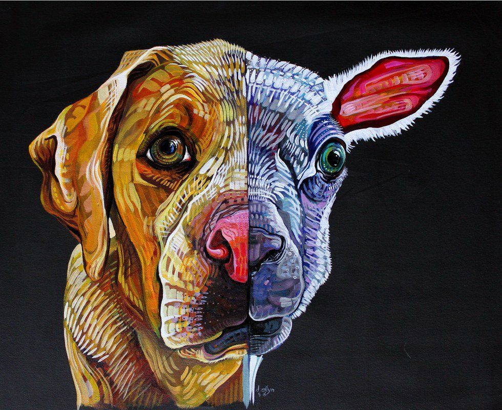 7 Reasons We All Need To Go Vegan