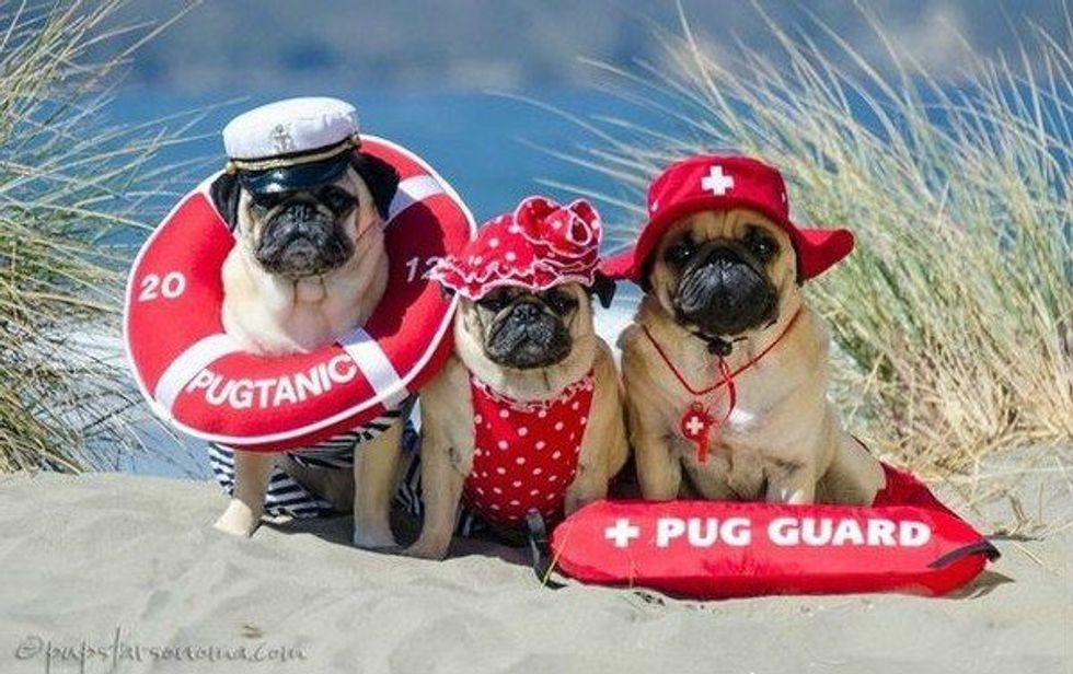 16 Things Your Lifeguard Needs You To Know